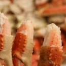 삼척 맛집 &#34;삼척대게왕&#34; 방문 후기