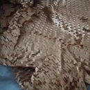 민숙농장 이미지