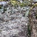 화순 능주 비봉산-조광조적려유허비-도암 수락폭포.마귀할멈폭포 연계 코스(1) 이미지
