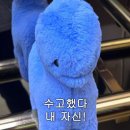 크로스핏 지구 이미지