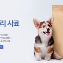 동충하초앤