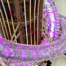 동작구청 이미지