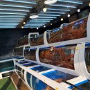 오션플레이 | 삼척 쏠비치 오션 플레이 후기