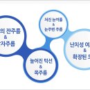 디아뜨 1 네이버블로그