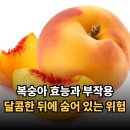 복숭아 효능과 부작용, 달콤한 뒤에 숨어 있는 위험