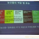 신안그린푸드
