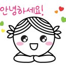 보경 라이브