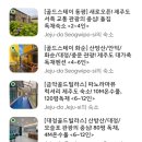 중문 골드빌라스 대가족숙소 펜션 | [공지] [새로오픈!] 골드스테이 화순 대가족숙소 독채펜션