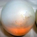 생명의 노래 이미지