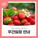 대술면행정복지센터 회의실 | 예산군농업기술센터 🌱주간일정 안내🌱