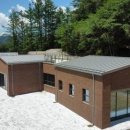 치유의 숲 이미지