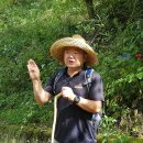 민주지산자연휴양림 이미지