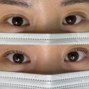 [원주/멜트브로우] 단구동 속눈썹펌/ 영양케어 무료로 해주는 곳