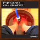 블루마운틴4255리조트 | 혈액순환과 여행의 피로를 풀어주는 족욕체험, 블루마운틴리조트 족욕/제주관광