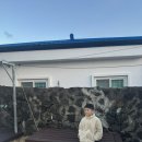 폭낭 올레집 이미지