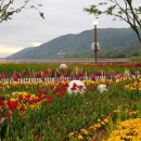 송해공원 제1주차장 이미지