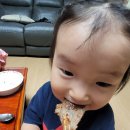 바로돼지 이미지