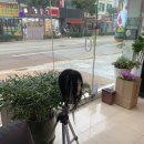 전영자헤어뉴스