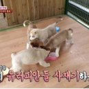 인종농장 이미지