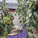 철이농장 이미지