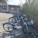 수목원 | 국립세종수목원 후기 주차무료