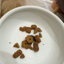 키스 | 신상! 몬테피 크리스피키스, 내돈내산 후기