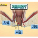 항플러스병원 네이버블로그
