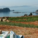 남해-252 이미지