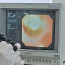 언양 동물병원 이미지