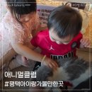 커브스 남동탄클럽 | 평택키즈카페 동물 먹이주기까지 가능한 애니멀클럽