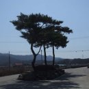 주천면 행정마을 이미지