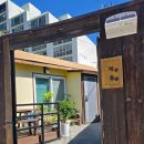 청춘펜션 | 울릉도 도동항 숙소, 청춘 독채펜션 내돈내산 후기 :)