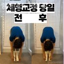 하음 필라테스 이미지