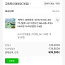 내돈내산] 2026년 3월 코타키나발루 교원투어 패키지 이용 후기 (결제내역. 여행일정서 첨부)