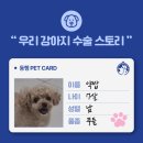 동행동물의료센터 | 부산슬개골탈구수술 부산 24시 동행동물의료센터가 선택받는 이유