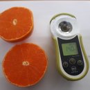 [형제청과유통]성주참외 5kg/천혜향 10kg/판매완료