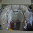 브라운퍼피 이미지