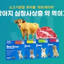 상계사랑약국 이미지
