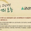 죽전오징어