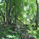 교래자연휴양림 이미지