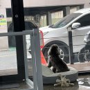 또또살롱 이미지