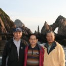 H8504 Daum카페