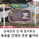 옥포 간경리 마을회관 앞 | 달성군 치매안심마을 간경리 갱경시 갤러리 &amp; 성혈바위 :: 옥포읍 풍경