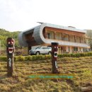 개랭이고들빼기마을 이미지