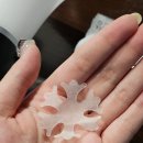 주연온누리약국 이미지