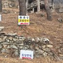 펜션 솔향 | [경남 펜션/밀양 한옥펜션] 촌캉스의 매력을 느낄 수 있는 밀양 숙소 추천 :: 솔향한옥