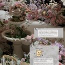 메종드오하 | 아이폰스냅 [오도리스냅] 후기 모음🎁🤍