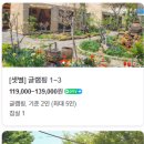 샛별글램핑 이미지