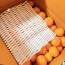 동환농장 이미지