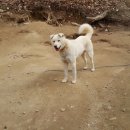 자룡농장 이미지